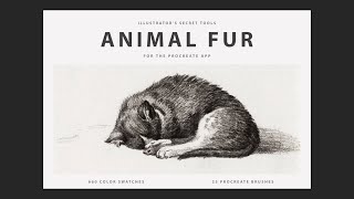 Testing Animal Fur Procreate Brushes & Color Swatches by Digi Life