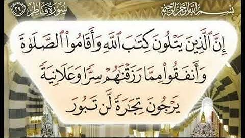 سورة فاطر آية ٢٩