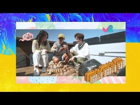 【預告 EP23｜關注關注組】龜龜關注組，香港人棄龜嚴重？｜J2