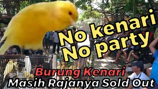 Burung Kenari Masih Menjadi Rajanya SOLD OUT || Pasar Burung Gawok Sukoharjo