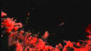 Mpeg200708Video