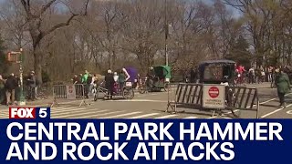 Central Park hammer and rock attacks