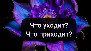 Что уходит, что приходит❓️ТАРО расклад