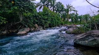 This calming river stream makes me focus so fast, peaceful background ambience for work Everyday Use