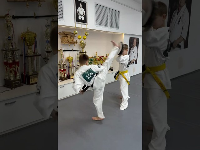 #kyokushin #shinkyokushin #karate #1kyokushin #一極真 #極真会館