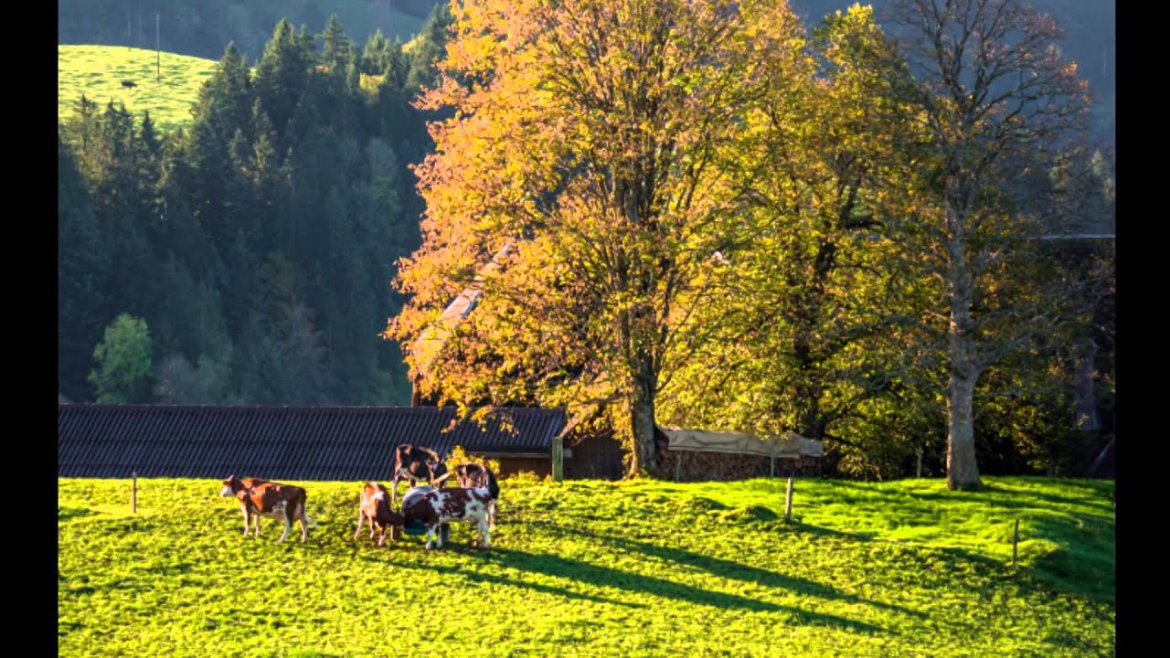 Emmental im Herbst
