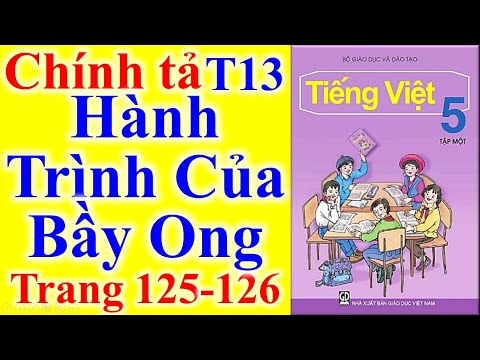 Video Tiếng Việt Lớp 5 Tuần 13 Chính Tả - Hành Trình Của Bầy... - YouTube