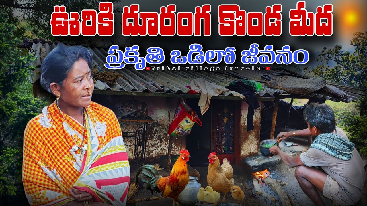 కొండల మధ్య ఒంటరి గిరిజన కుటుంబం | Peaceful Tribal Lifestyle in forest | Tribal Village Life