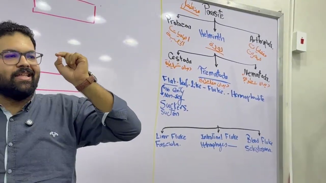 All Trematoda | Crash Course | Parasitology | Dr. ElToukhy | 3rd Year Medical | Kasr Al Ainy | (197)