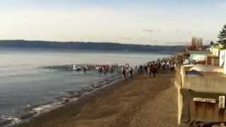 2013 Three Tree Point Polar Bear Plunge - Another Angle