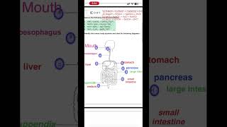 Holiday’s homework Science PSEB | Class 10th | 2026 Diagrams labelling #psebsolution
