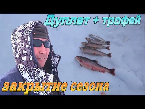Видео: Ночная рыбалка на Арктического гольца! Закрываем сезон подледной рыбалки!