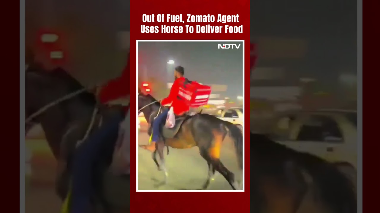 Zomato Agent Delivers Food On Horse Amid Long Queues At Petrol Pumps