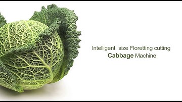 CABBAGE DECORING MACHINE - TROCEADORA DE BERZA