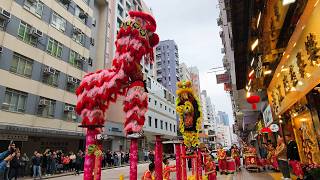 Chinese New Year 2026 Lion Dance Performance, Hong Kong 丙午 馬年 年初一舞獅表演
