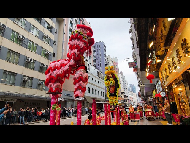 Chinese New Year 2026 Lion Dance Performance, Hong Kong