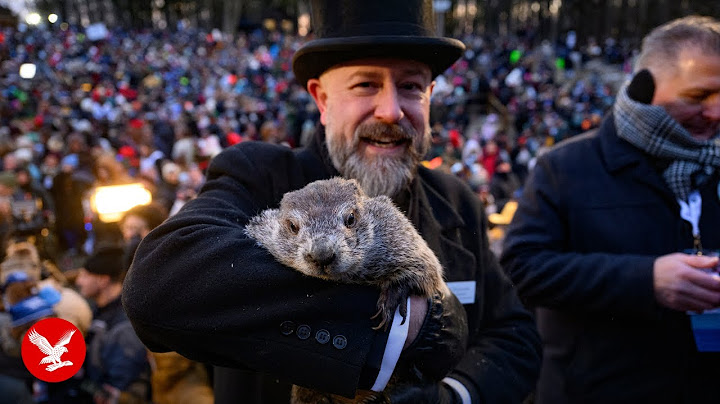 Punxsutawney Phil makes his Groundhog Day 2025 prediction