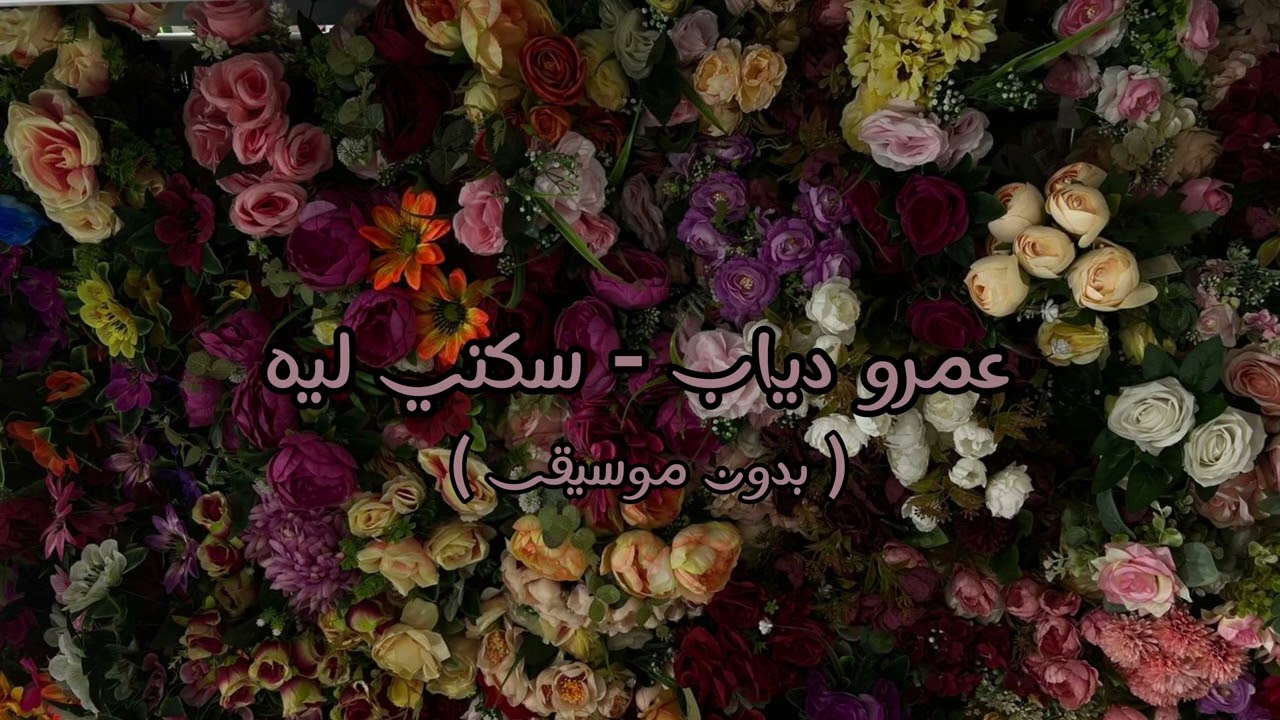 عمرو دياب - سكتي ليه ( بدون موسيقى )