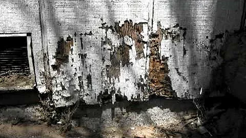 Termite Control : Will Termites Eat Treated Lumber?