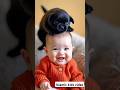 La Ilaha Illallah Zikr New Born Baby Reciting Babies Quran Status Cute Islamic Youtubeshorts Cat 