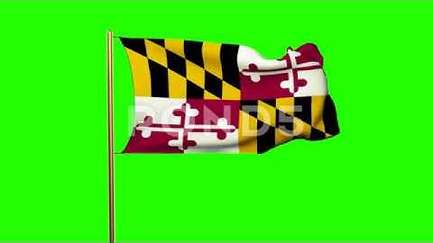 Maryland Flag Waving In The Wind. Green Screen, Alpha Matte. Loopable Animation