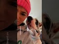 Not The Extended Warranty Again Dogsofinsta Trending Dogslover 
