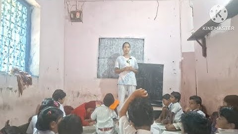 Day 17,Activity 23( theme  trees and plants)