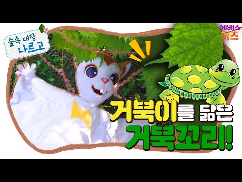 #집에서함께해요ㅣ거북이를 닮은 거북꼬리!ㅣ뾰족한 이파리가 거북이 꼬리같아요!ㅣ숲속 대장 나르고ㅣKBS 방송