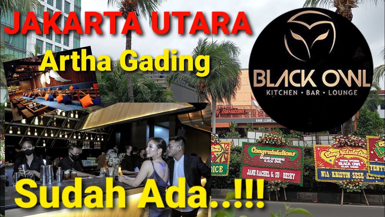BLACK OWL KELAPA GADING SUDAH JADI ( VLOG ) YouTube