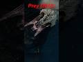 Prey (2022) | Predator Captured in Trap—Breaks Free, Then Detonates 🔥🛡️