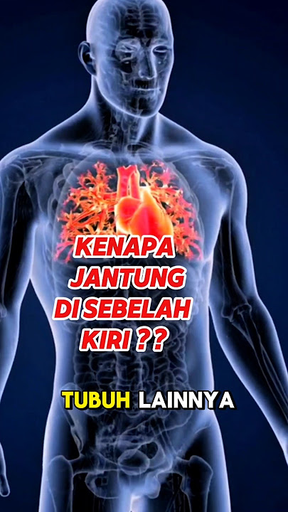 KENAPA JANTUNG KITA DI SEBELAH KIRI #shortvideo #faktaunik