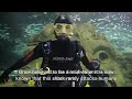 Steve Aoki Scuba Diving With The Grey Nurse Shark