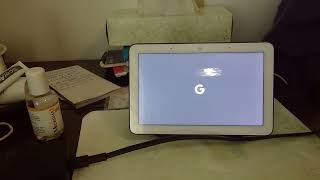 Google Nest Hub - Grey Screen Issue