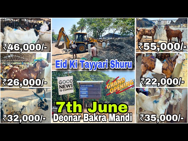 Deonar Bakra mandi latest update 2024 || Deonar opening date and tayyari || TUESDAY LIVE UPDATE || class=