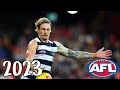 Tom stewart 2023 afl highlights