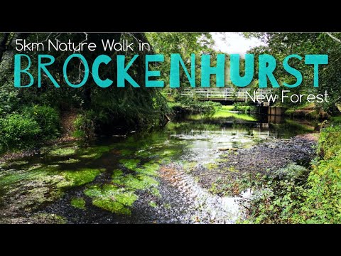 5km walk in Brockenhurst | New Forest