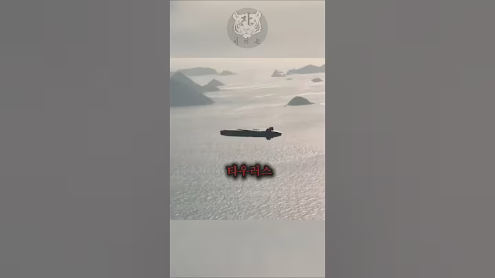 대한민국의 지형에 맞춤 설정 되어있는 정신나간 미사일