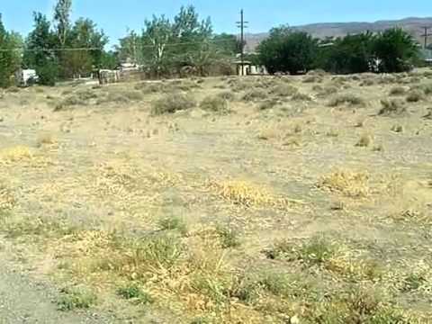 3913 Deodar St, Silver Springs, NV home video tour