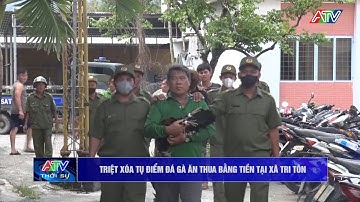Triệt xóa tụ điểm đá gà ăn thua bằng tiền tại xã Tri Tôn | Truyền hình An Giang 2
