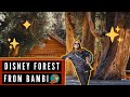 THIS FOREST Inspired DISNEY's BAMBI! 🦌🌲 |  Visiting the Arrayanes Forest in Patagonia, Argentina ✨