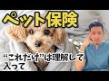 【本当に必要？】加入する前に見て！知っておかないと損をするペット保険の真実を獣医師がお話しします