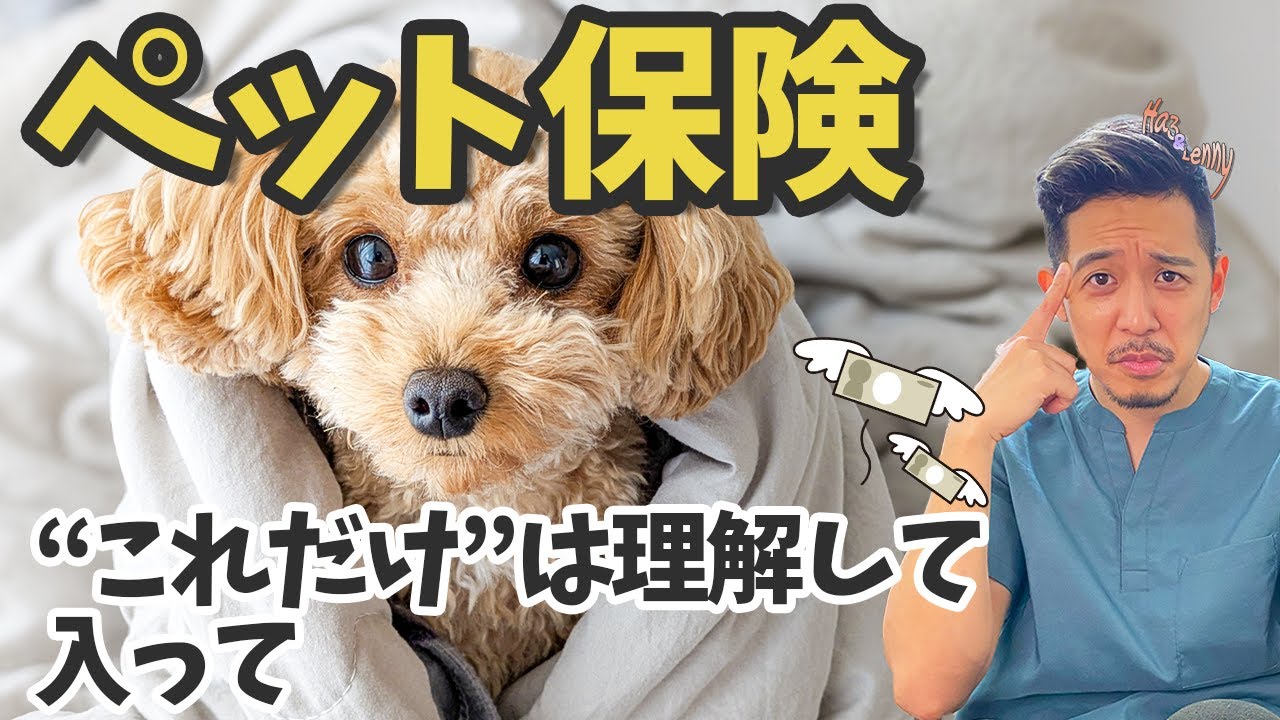 【本当に必要？】加入する前に見て！知っておかないと損をするペット保険の真実を獣医師がお話しします