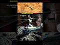 Resident Evil Veronica Evolution 2000 → 2009 → 2027
