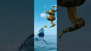 Megalodon vs All #deepsea #monster #sea #megalodon #vs #all #shark #edit  #shorts