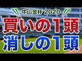 中山金杯2020【買いの1頭/消しの1頭】公開!