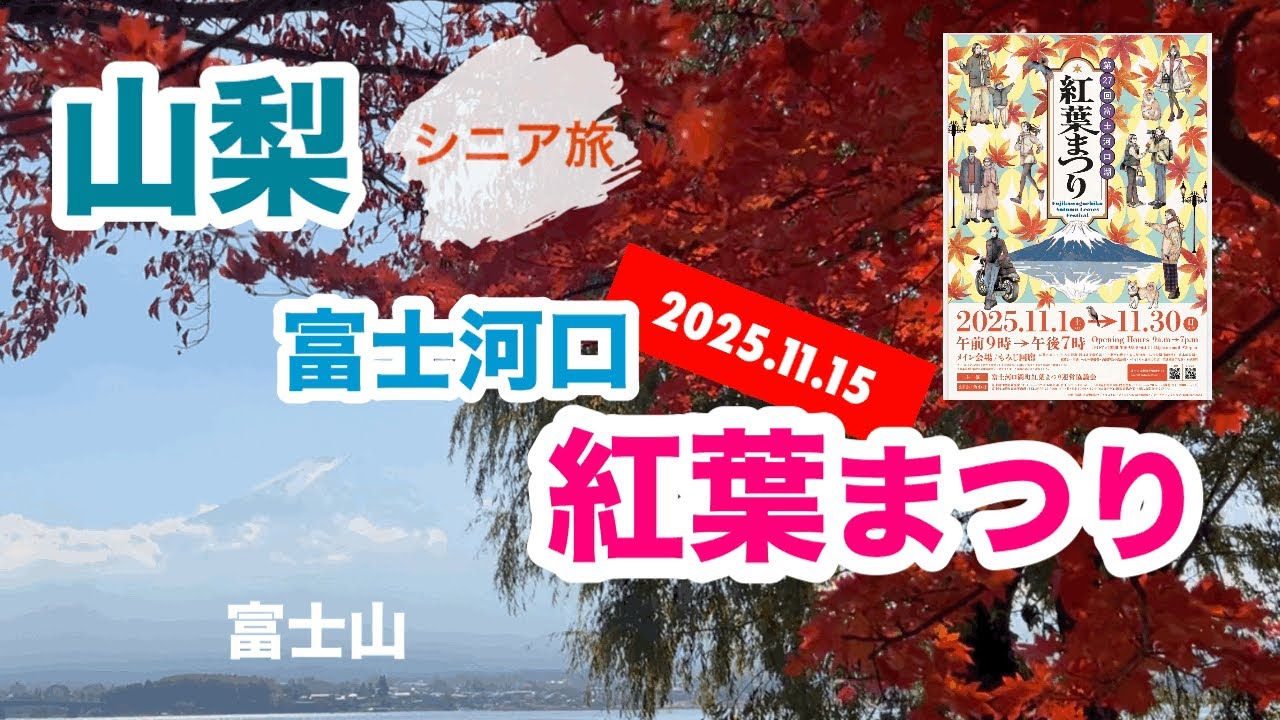 [富士河口湖]「富士河口湖紅葉まつり」のもみじ回廊が綺麗だった(2025.11.15撮影)
