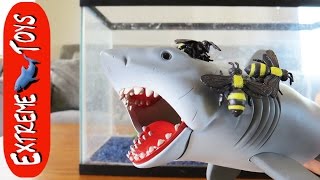 Killer Bee Attack! Shark Toy Helps Boys Fight a Giant Bee Swarm.