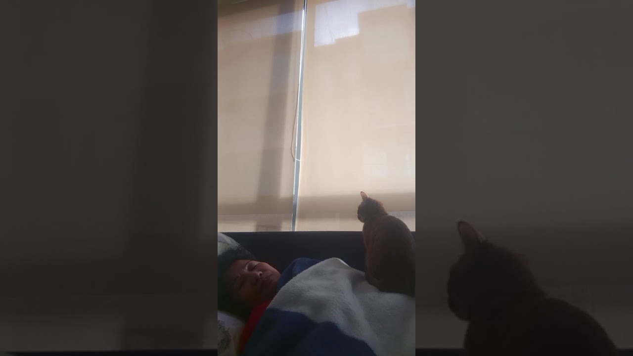 PEWEE sHe is waiting for me to wake up.😍😻😻