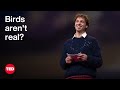 Birds Aren’t Real? How a Conspiracy Takes Flight | Peter McIndoe | TED