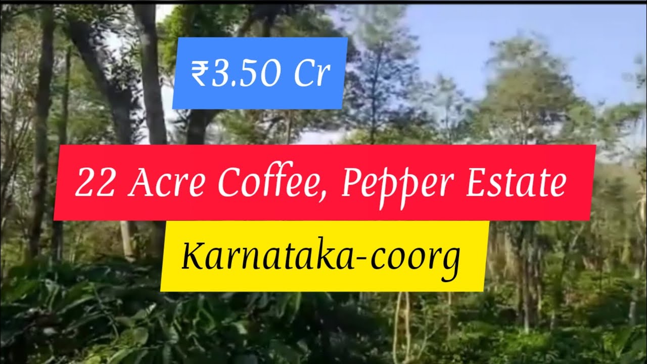 22 Acre Coffee Pepper Estate For Sale Madikeri Karnataka (3